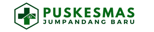 puskesmasjumpandangbaru.web.id